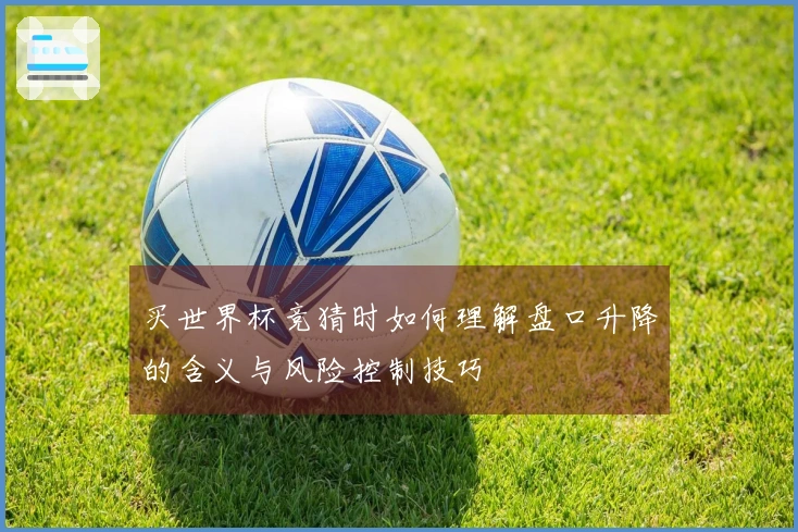 买世界杯竞猜时如何理解盘口升降的含义与风险控制技巧
