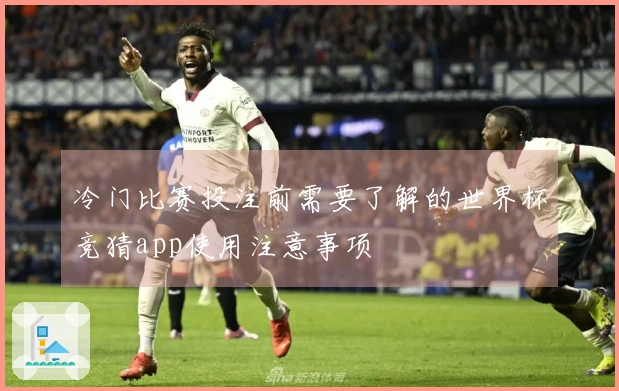 冷门比赛投注前需要了解的世界杯竞猜app使用注意事项