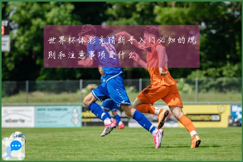 世界杯体彩竞猜新手入门必知的规则和注意事项是什么