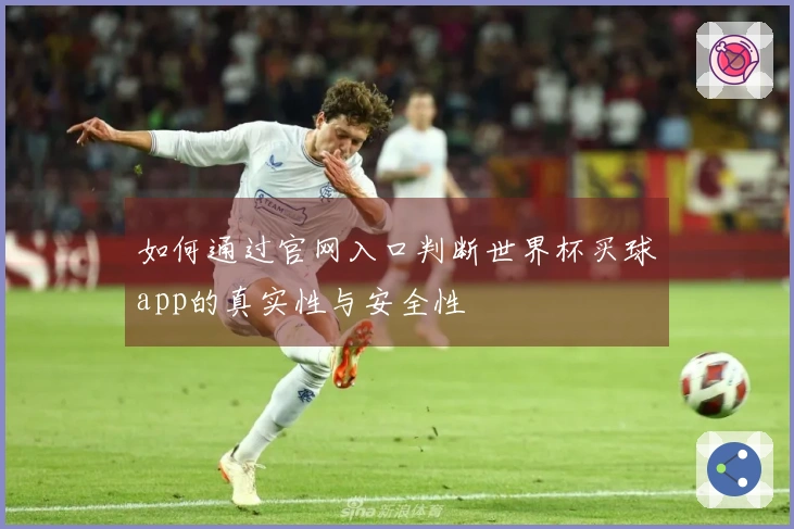如何通过官网入口判断世界杯买球app的真实性与安全性