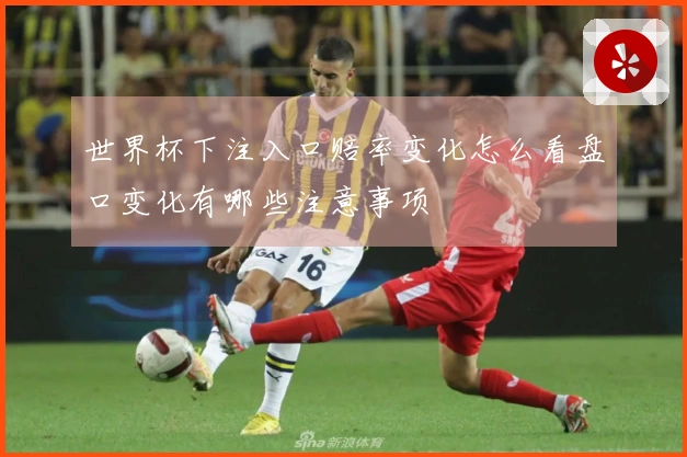 世界杯下注入口赔率变化怎么看盘口变化有哪些注意事项